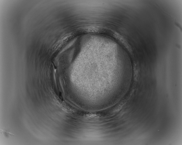 X0000101470161200807211344