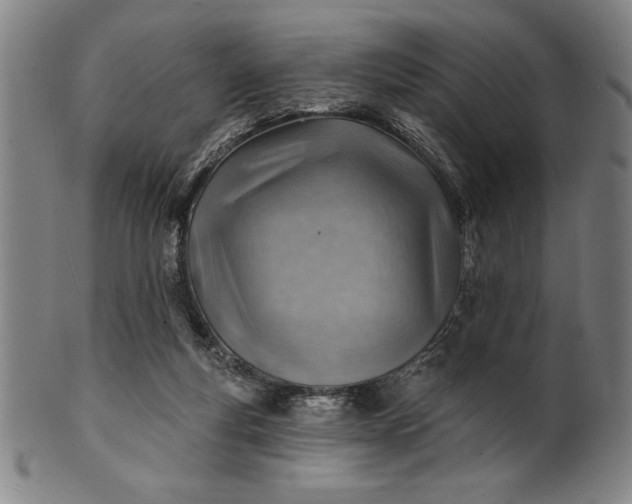 X0000101470163200807211344