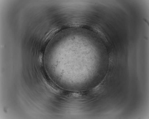 X0000101470166200807211344