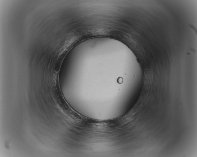 X0000101470168200807211344