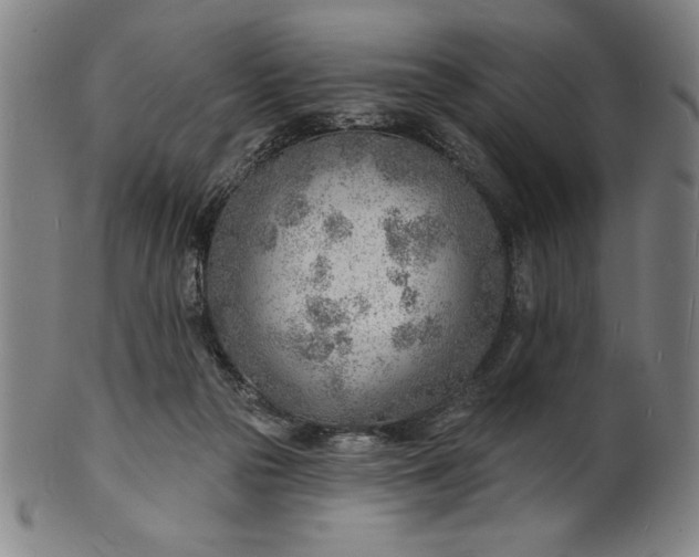 X0000101470169200807211344