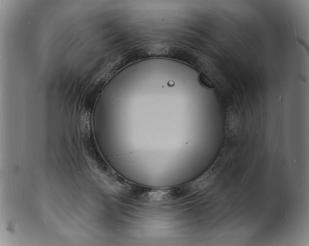 X0000101470172200807211344