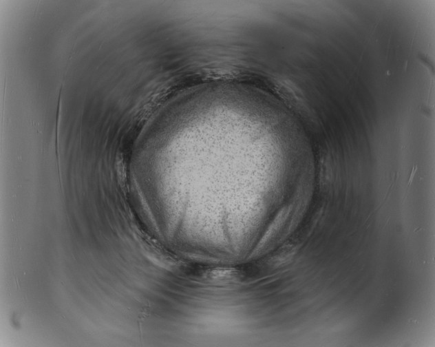 X0000101470173200807211344