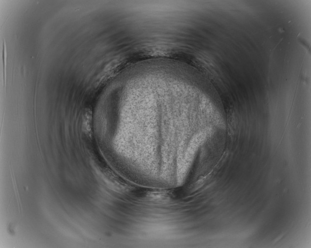 X0000101470175200807211344