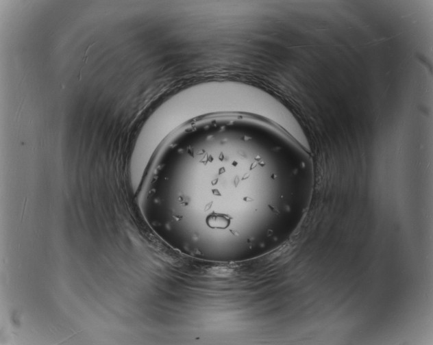 X0000101470176200807211344