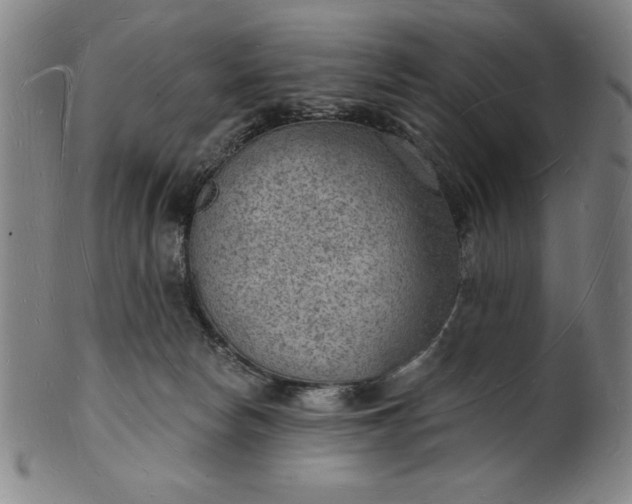 X0000101470178200807211344