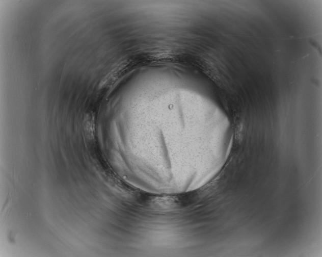 X0000101470179200807211344