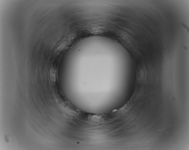 X0000101470180200807211344