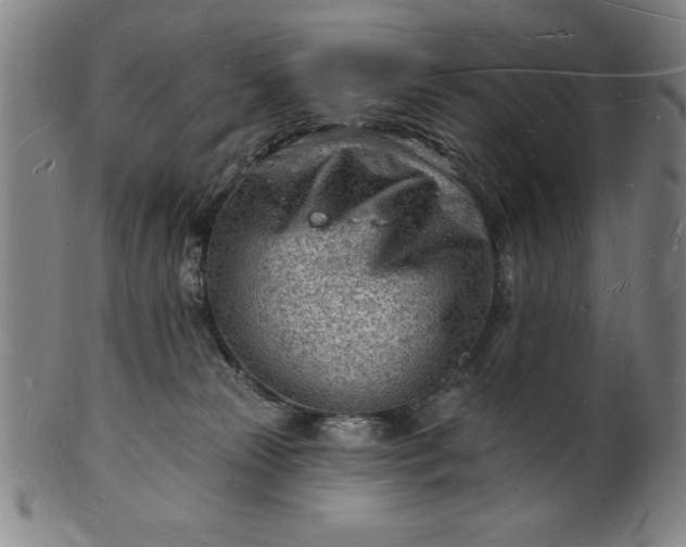 X0000101470181200807211345