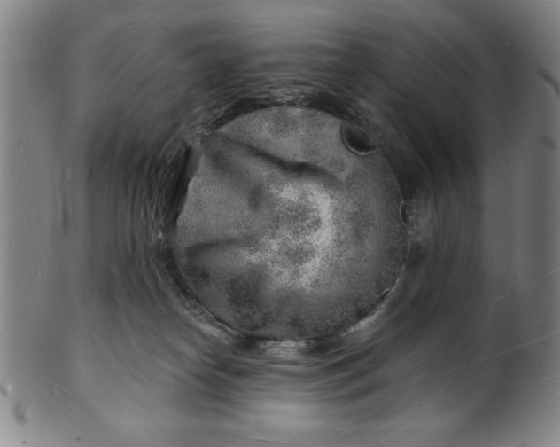 X0000101470182200807211345