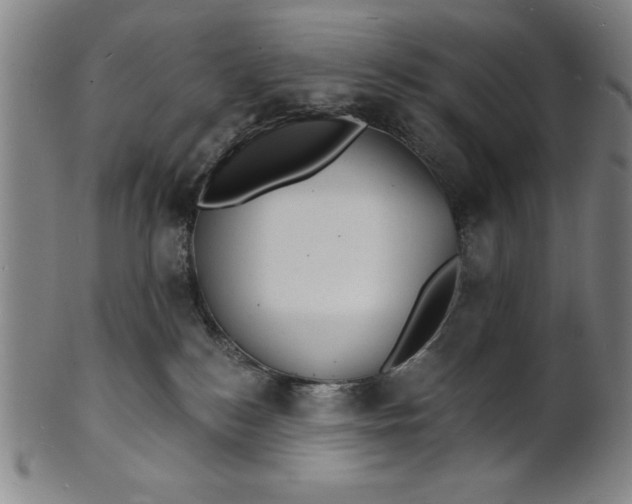 X0000101470184200807211345