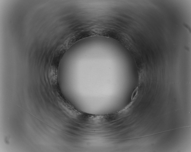 X0000101470186200807211345