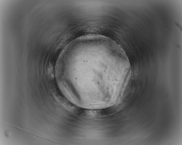 X0000101470187200807211345