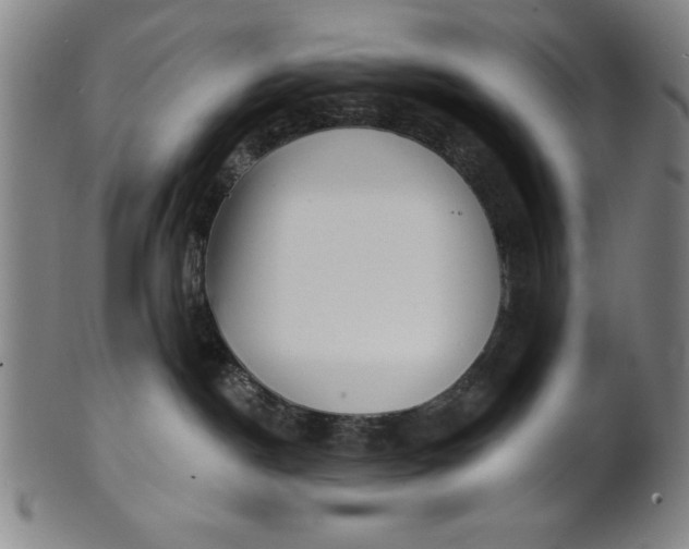 X0000101470190200807211345