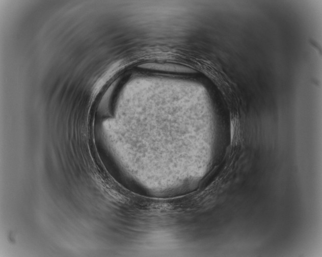 X0000101470195200807211344