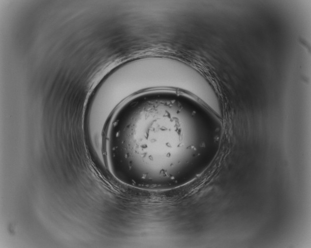 X0000101470196200807211344