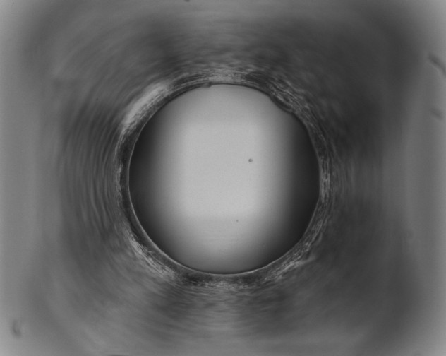 X0000101470197200807211344