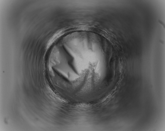 X0000101470198200807211344