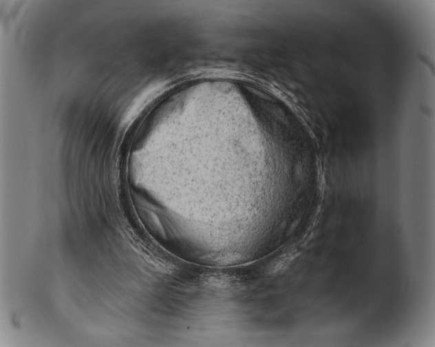 X0000101470199200807211344