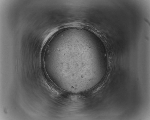 X0000101470200200807211344