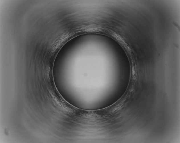 X0000101470201200807211344