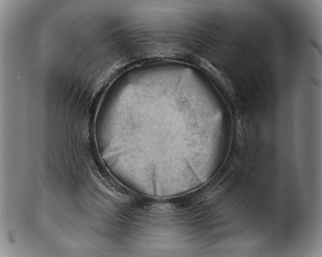 X0000101470203200807211344