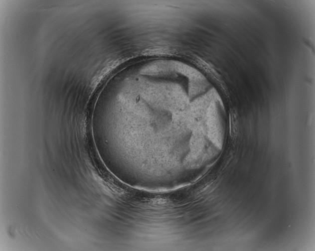 X0000101470204200807211344