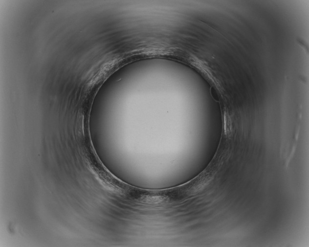 X0000101470205200807211344