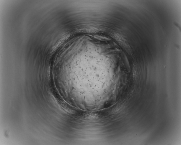 X0000101470206200807211344