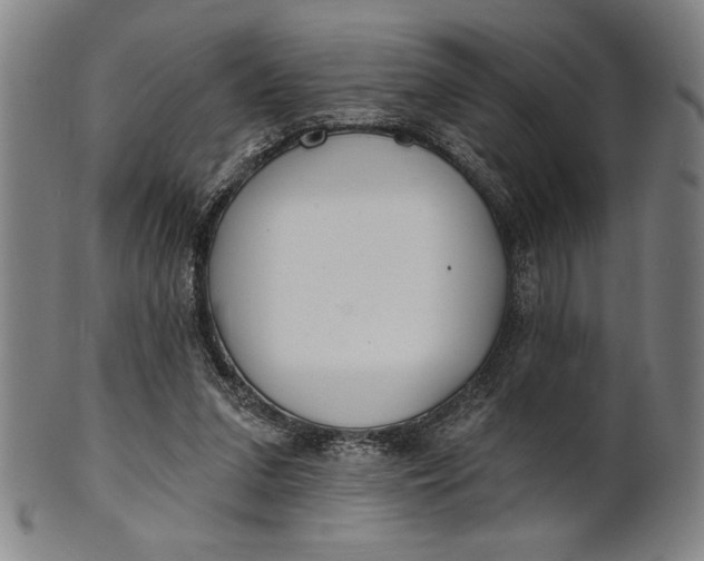 X0000101470207200807211344