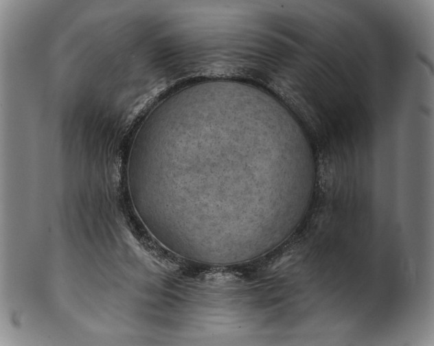 X0000101470208200807211344