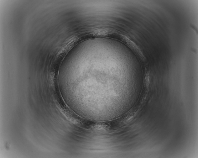 X0000101470209200807211344