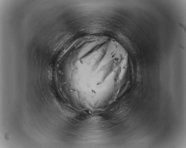 X0000101470210200807211344