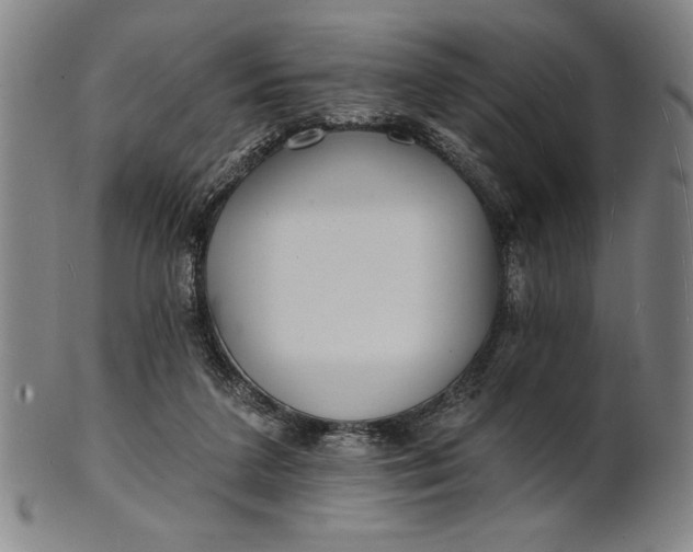 X0000101470211200807211344