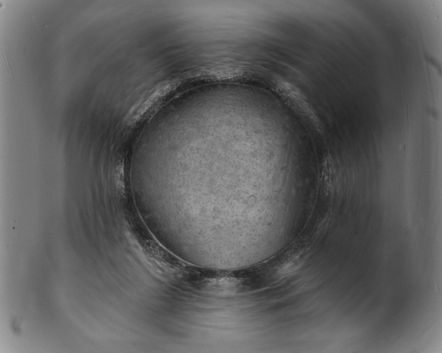 X0000101470212200807211344