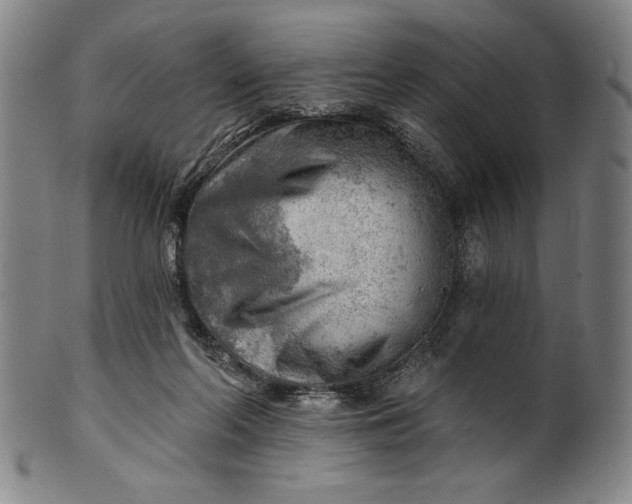 X0000101470214200807211344