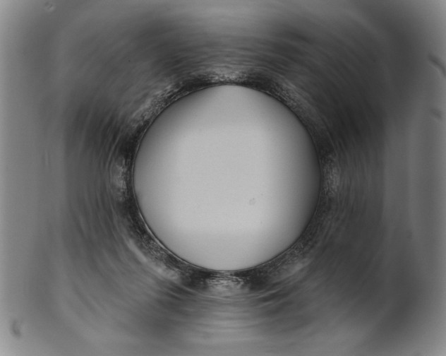 X0000101470215200807211344