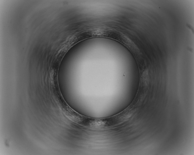 X0000101470217200807211344