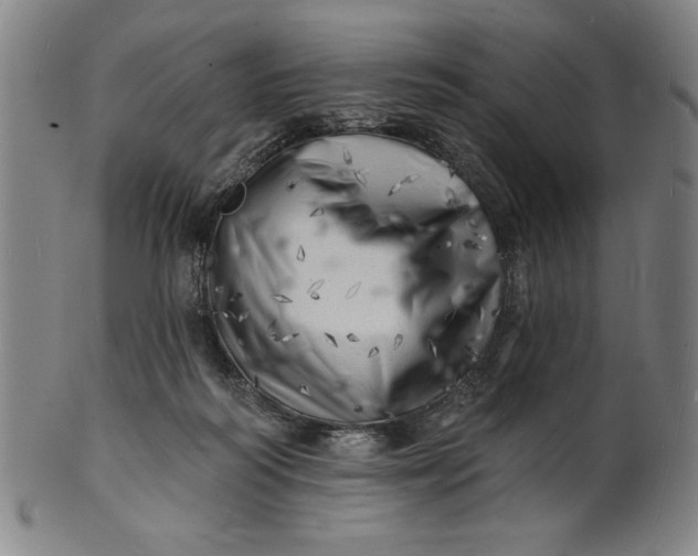 X0000101470218200807211344