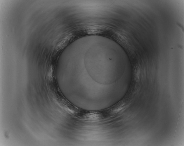 X0000101470219200807211344