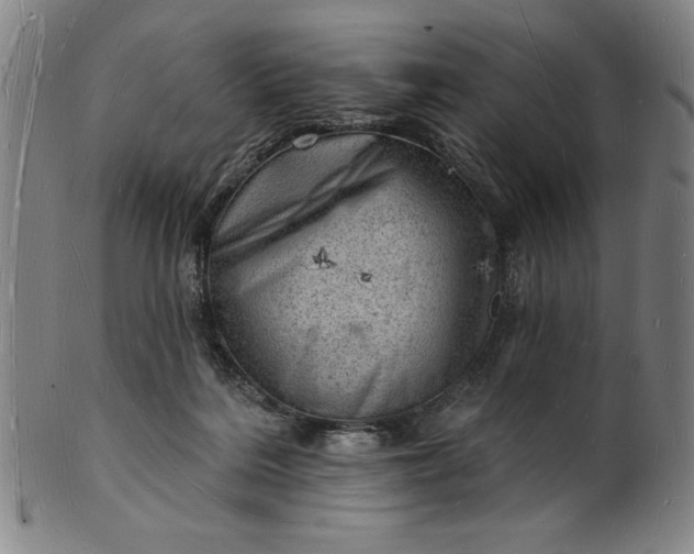 X0000101470220200807211344