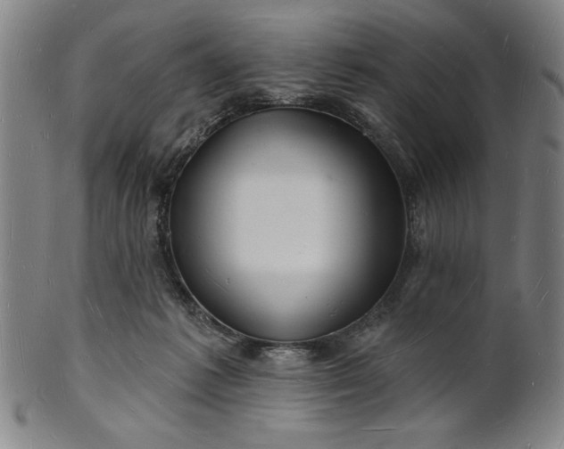 X0000101470221200807211344