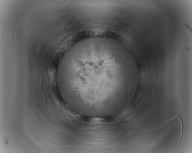 X0000101470222200807211344