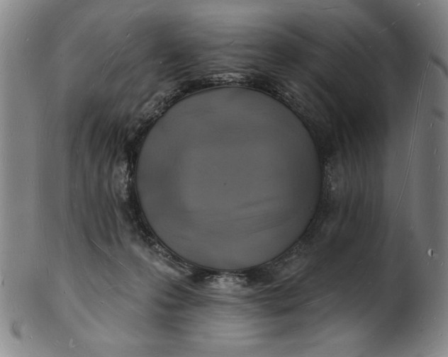 X0000101470223200807211344