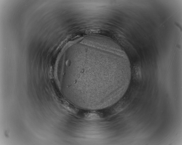 X0000101470224200807211344