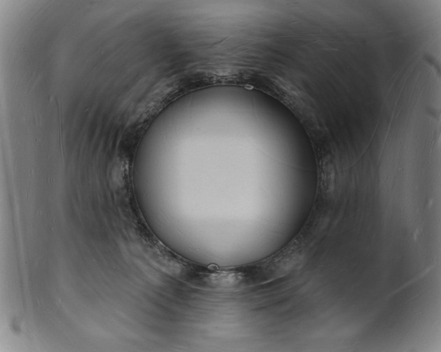 X0000101470225200807211344