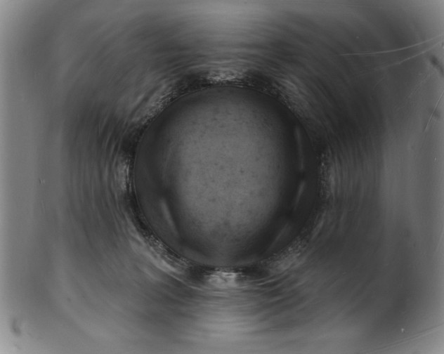 X0000101470227200807211344