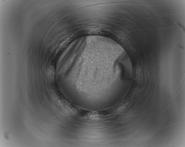 X0000101470228200807211343