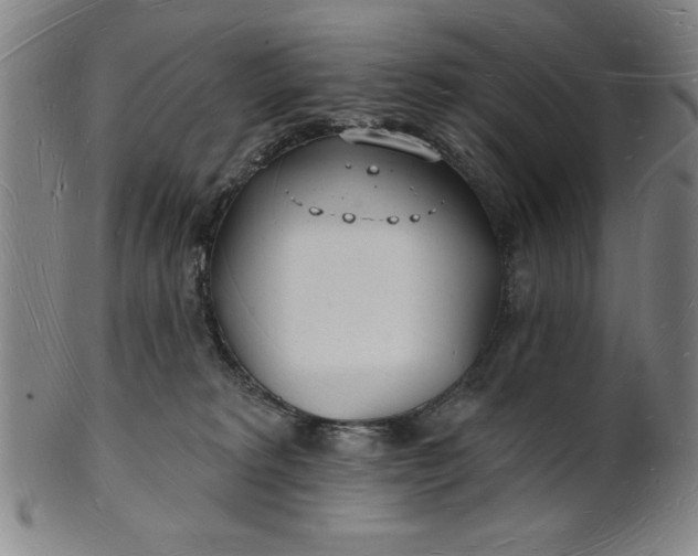 X0000101470229200807211343