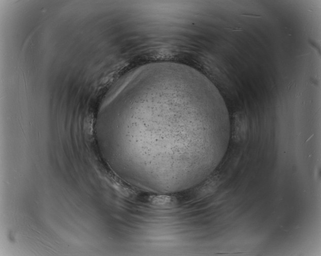 X0000101470230200807211343